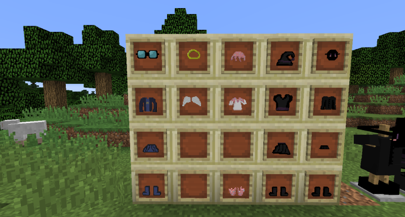 this is how they will look like in your hand Costumes as items