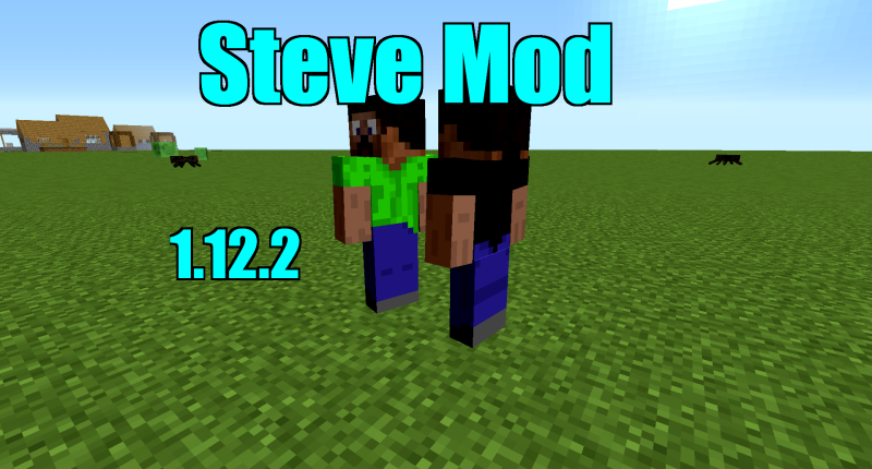 Steve Mod