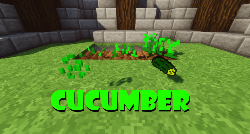 Cucumber