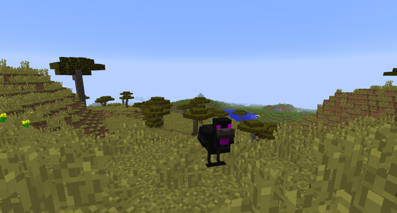 Picture of the Ender Chicken.