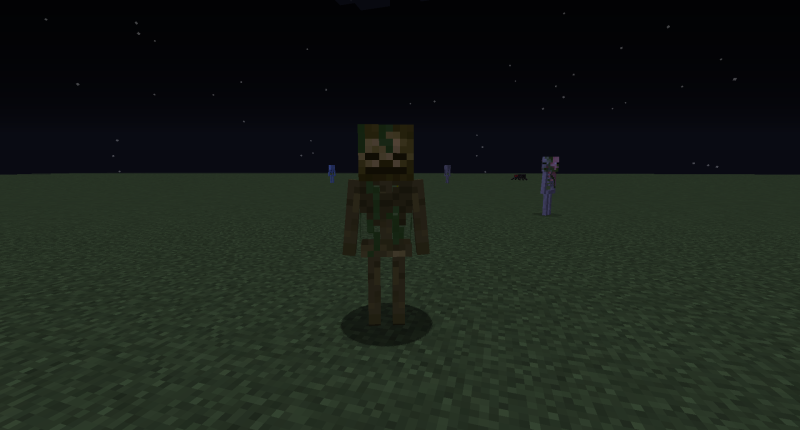Swamp Skeleton the swamp skeleton only appears in the biom where it is swampy