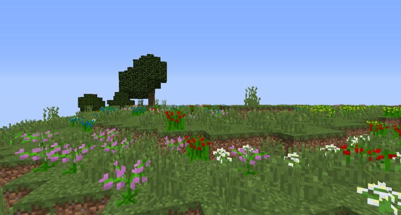 Plains filled with flowers.