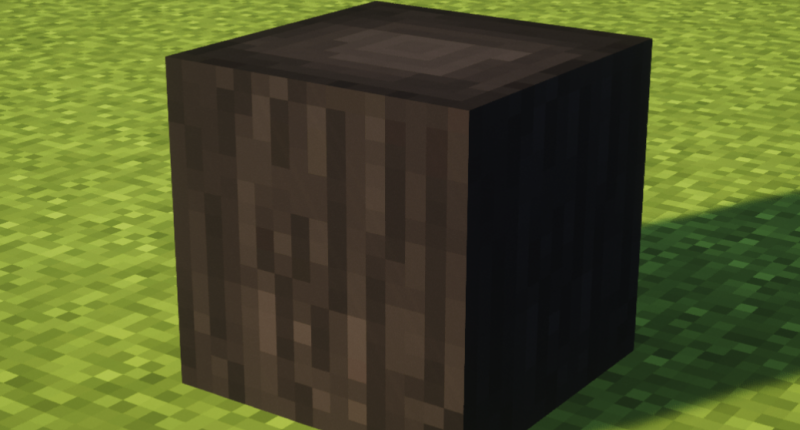 Burnt Log. This new type of log spawns in the new infected biome, if put into a crafting table will make charcoal.