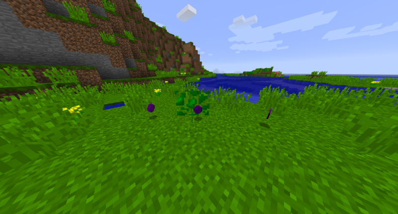 Grapes spawning naturally in the Grape Forest biome. (notice they do not automatically drop from the vines)