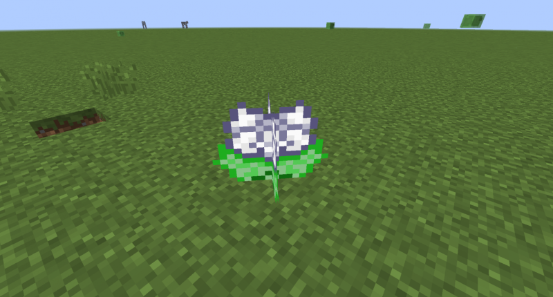 Bone Meal Flower