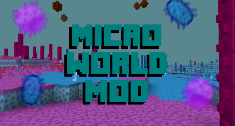 The MicroWorld