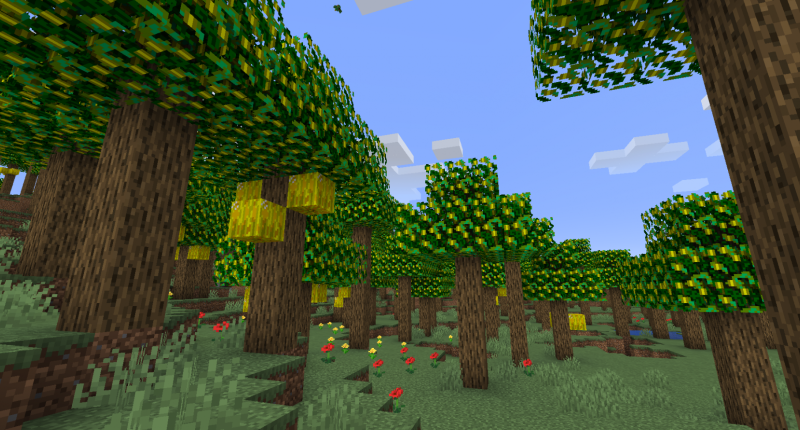 Speckled Melon Forest