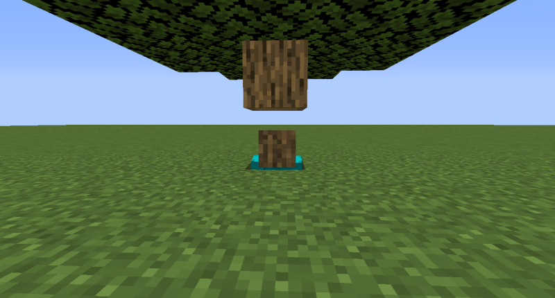 Oak log head