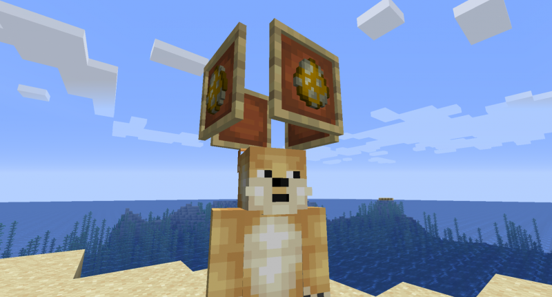 Doge and the Doge spawn eggs