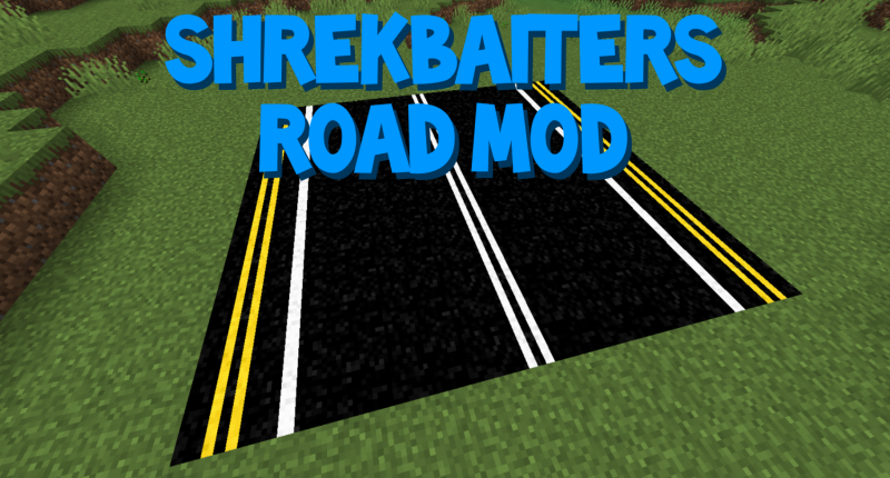 This mod ads some cool new roads with different designs!