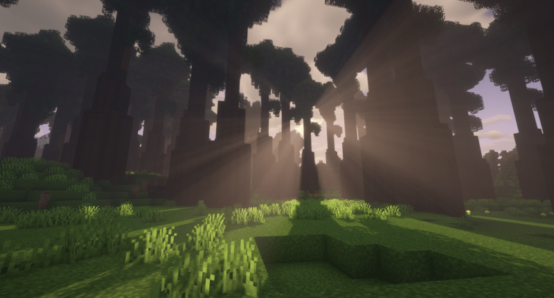 minecraft jungle biome shaders