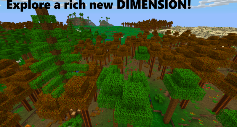 Explore a rich new dimension!