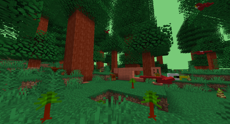 The Redwood Forest Biome