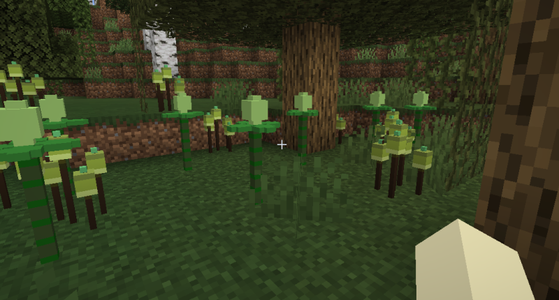 naturaly generated elgel plant and koldis sprout