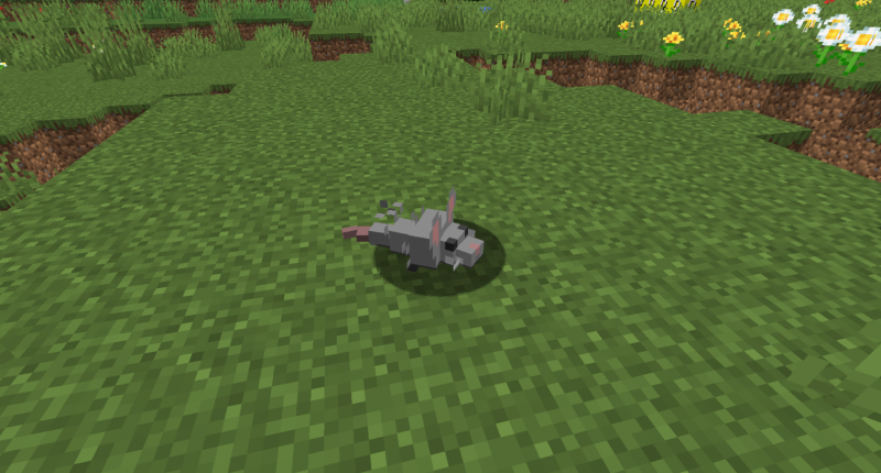 Mouse