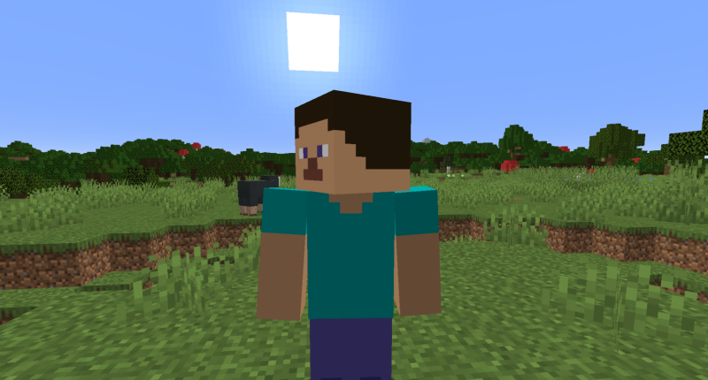 Steve
