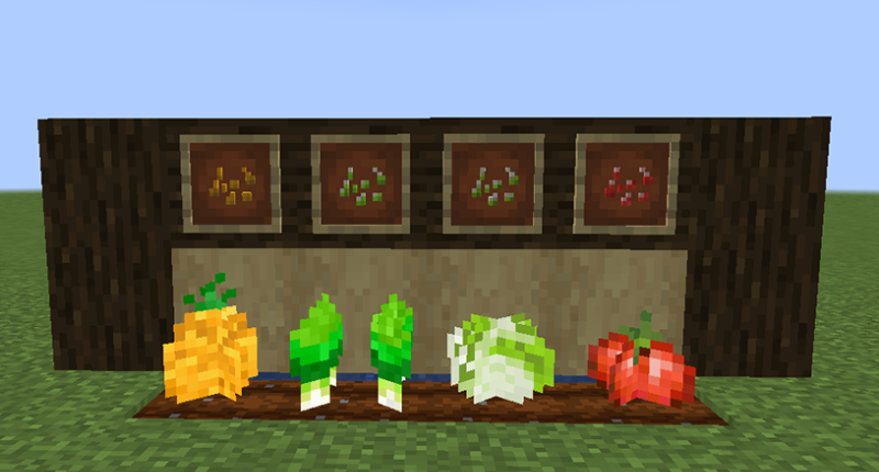 4 New crops (Pineapple, Leek, Lettuce, Tomato)