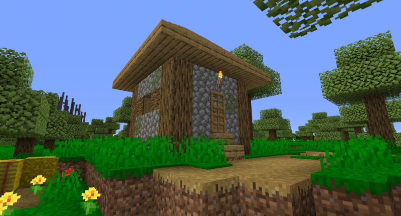 A village found in one of the new biomes called the Flowering Fields.