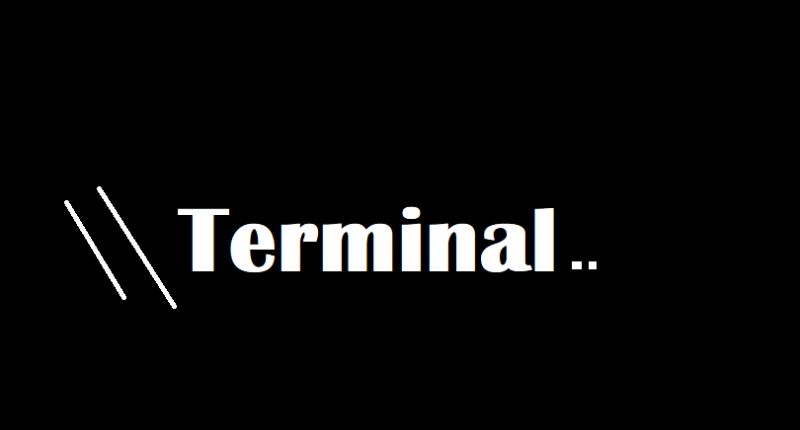 Terminal