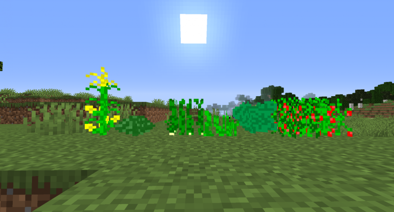 wild variants of the crops