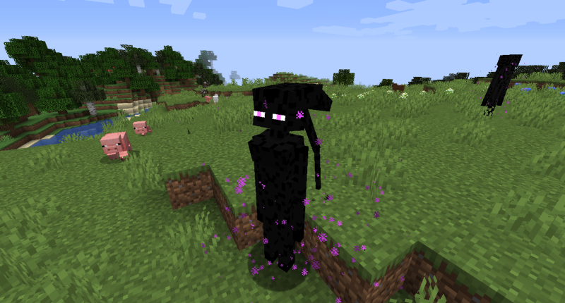 Endergirl in game (day)