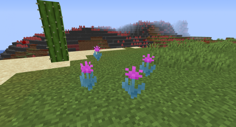 Some nice unicorn flowers