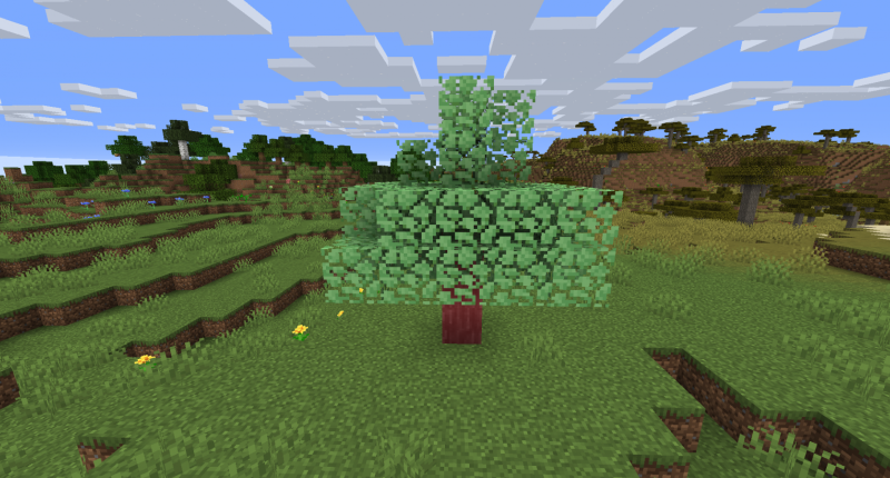 A redwood tree in a plains biome.