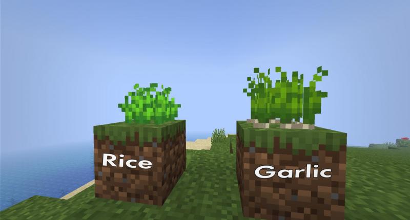 Rice and Garlic