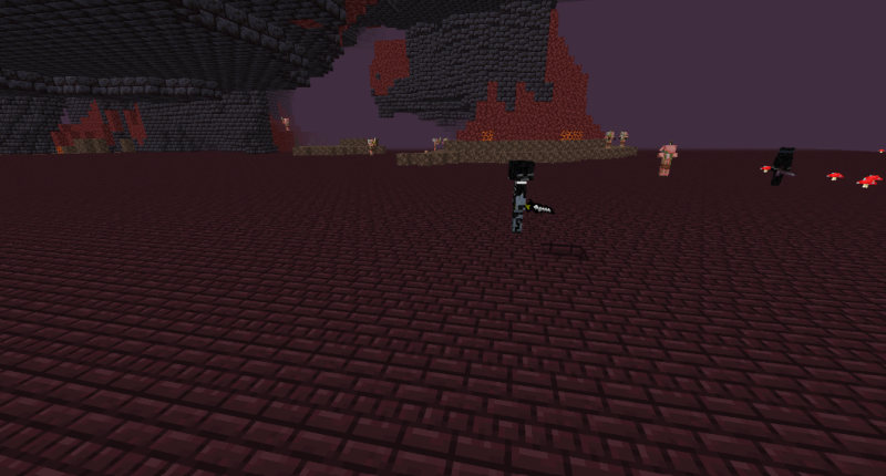 The Wither Dimension