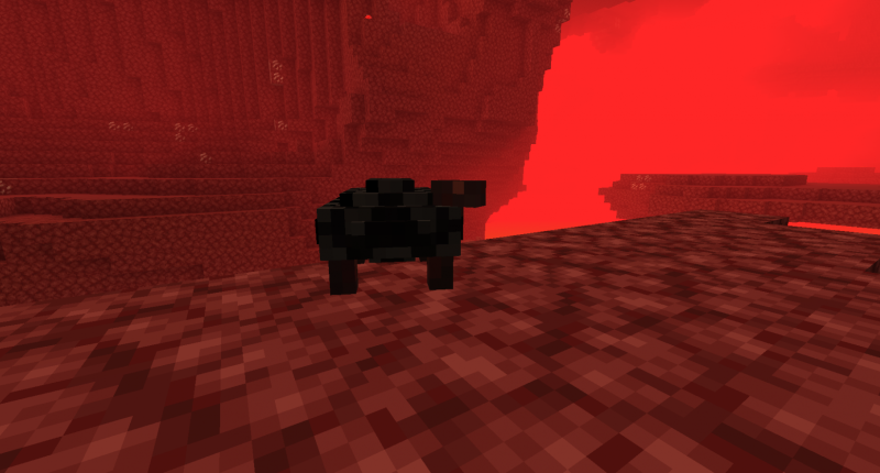 The wither tortoise