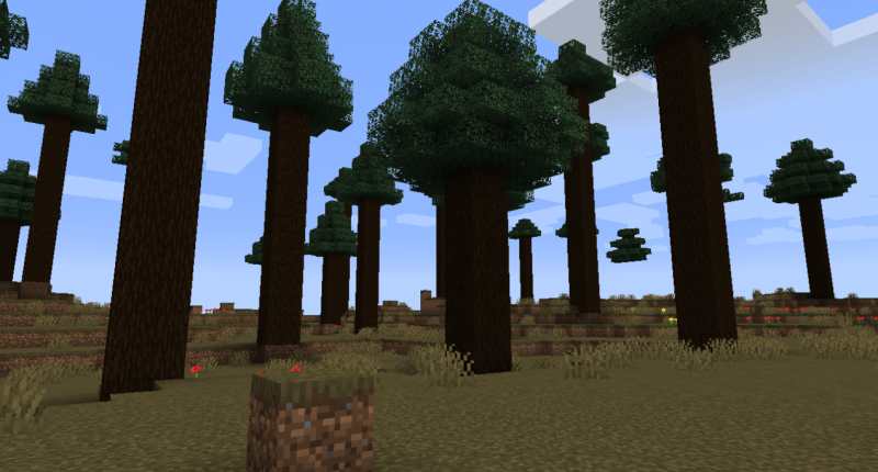 The forest of the mountains have grown, creating large trees and green grass.