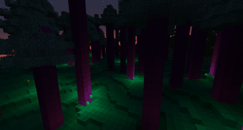 Sparkle Forest