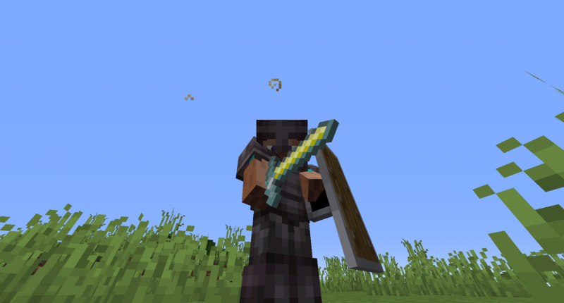 A player holding the Nether Star Sword in hand, granting them full beacon effects.