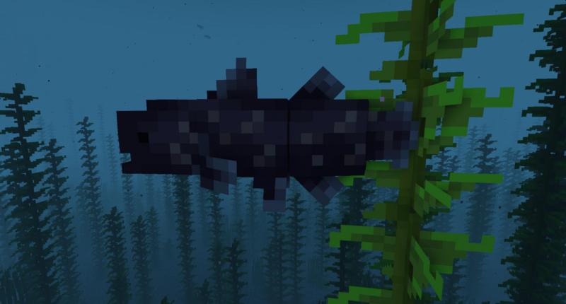 A coelacanth