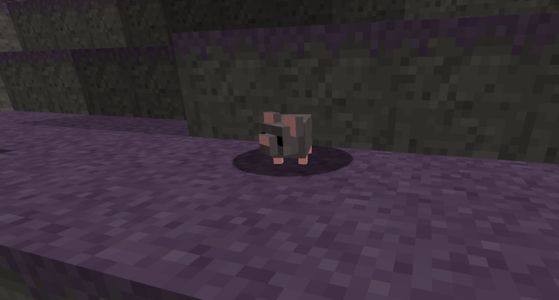 rat in the spooky biome
