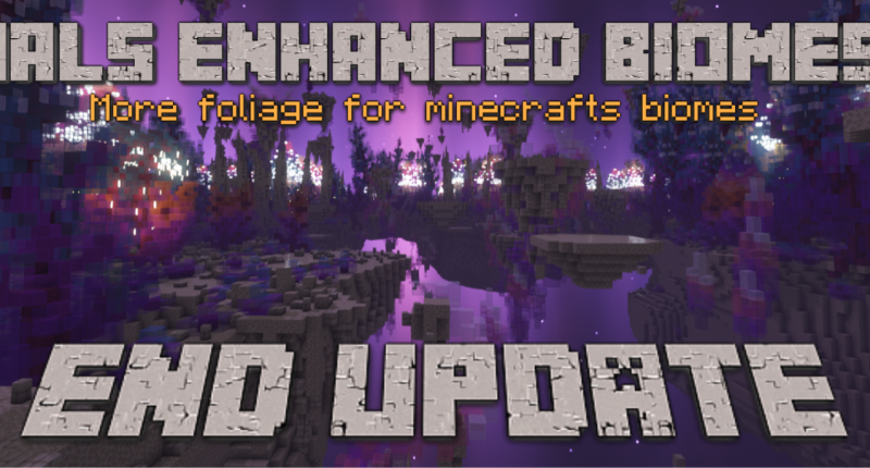 11 Minecraft Mods That Enhance The End Forge Edition 1.15 and 1.16