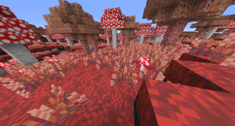 Red Fungi Forest