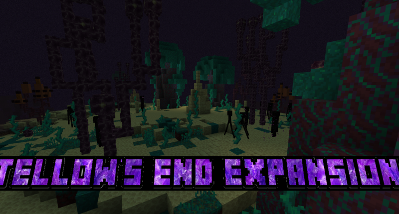 Minecraft 1.17.1, The Better End Mod