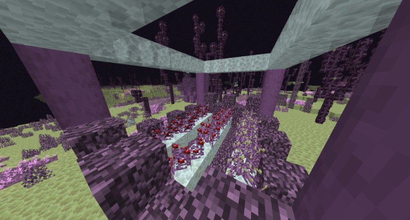 Related Image 3 (Own End-Overworld Graft Farm)