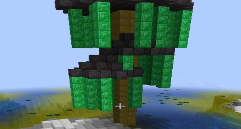 Have you ever seen a tree like this?