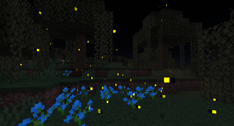 Fireflies look beautiful at night!
