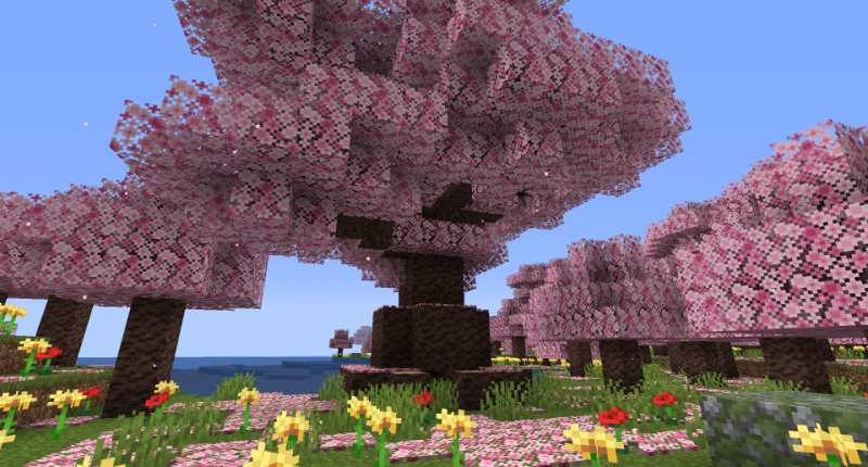 Big Sakura Tree