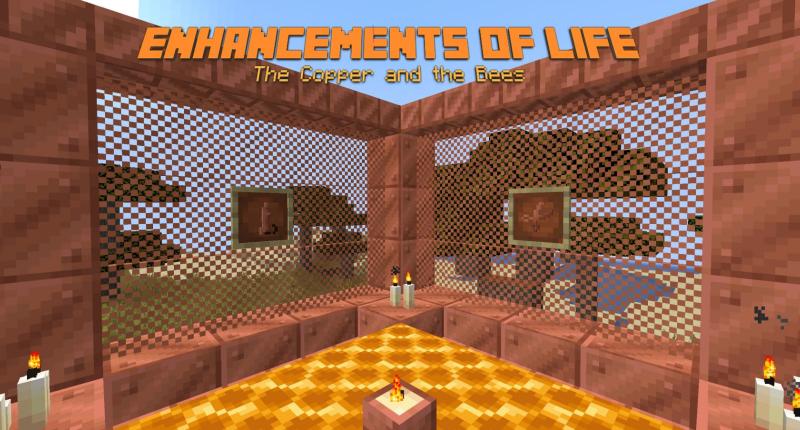 Enhancements of Life 1.0.0 Feautures