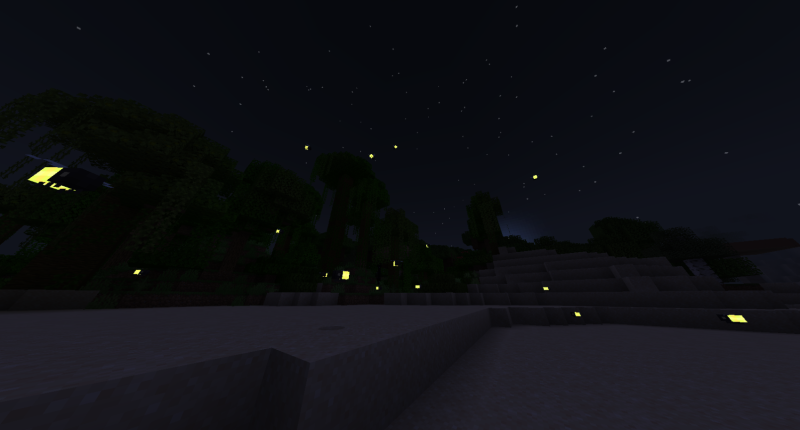 Firefly in night sky