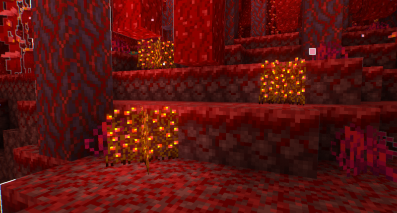 Nether picture