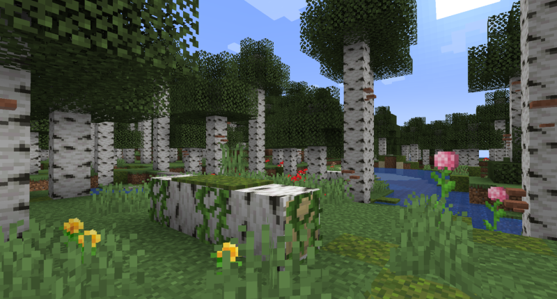 New cute looking Birch Forest!