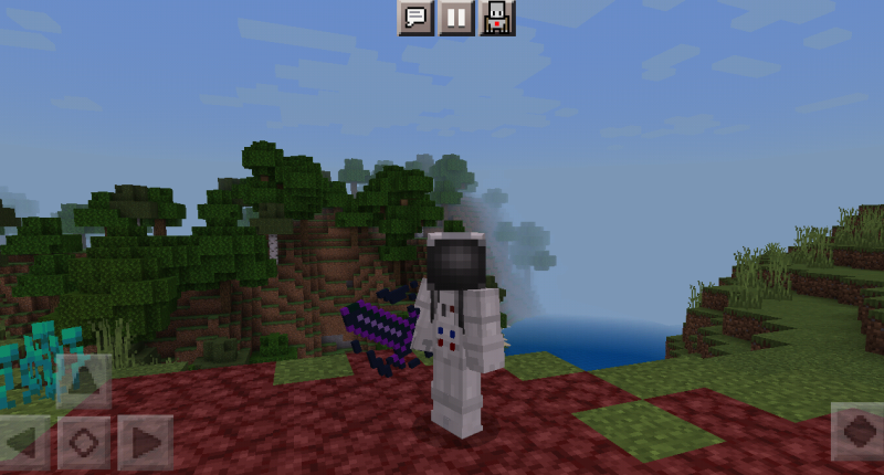 Nether Sword!