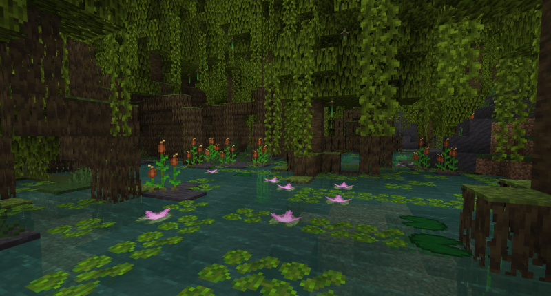 New look of Mangrove Swamps!