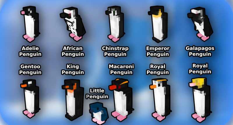 ALl of the penguins image