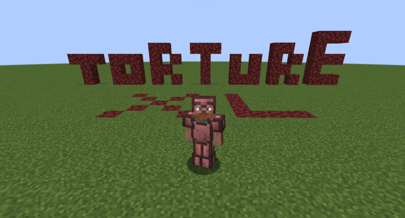 A player in pink armor standing in front of the word torture spelled out in netherrack.